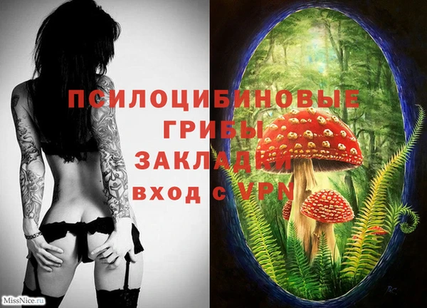 гашиш Абаза