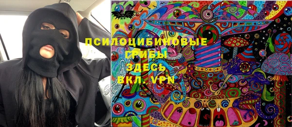 а пвп мука Надым