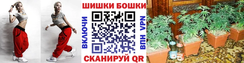 где продают   Александровск-Сахалинский  Конопля Amnesia 